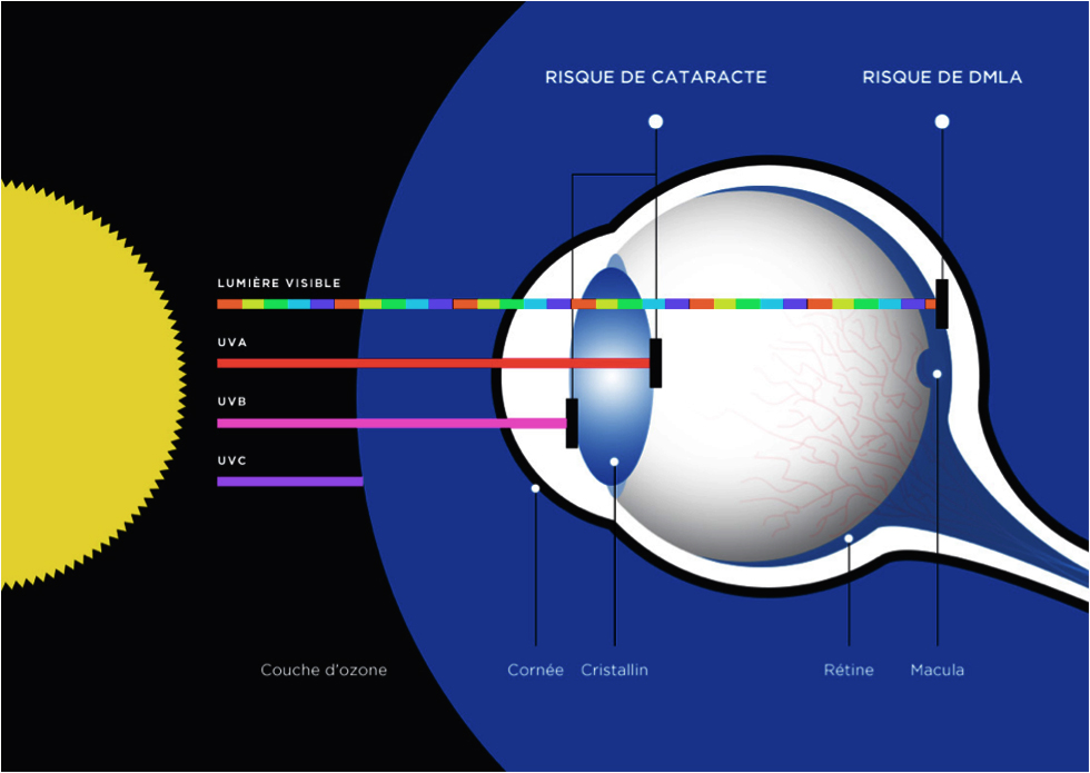 Schéma opticien et lunetier :lumière visible